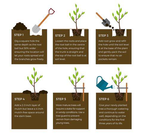 Ring or pit planting. | Download Scientific Diagram - raincitystudios.com