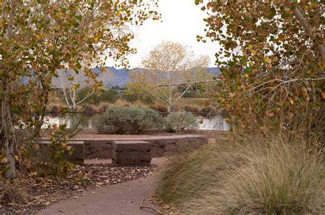 Rio Salado Habitat Restoration Area | City of Phoenix - raincitystudios.com