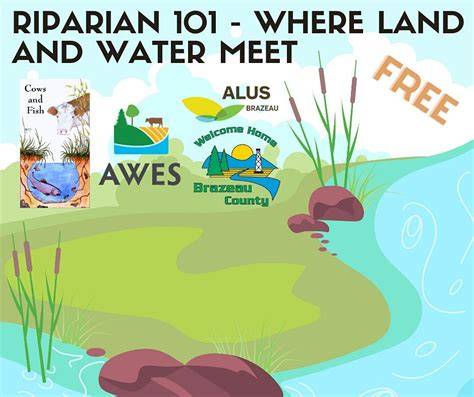 Riparian 101 | Riparian - raincitystudios.com