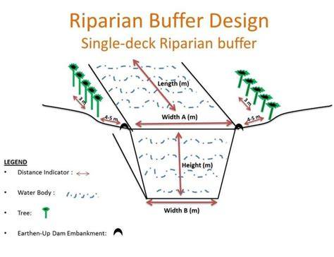 RIPARIAN BUFFER DESIGN GUIDE - NIWA - raincitystudios.com