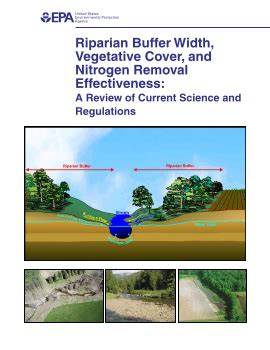 Riparian buffer width, vegetative cover, and nitrogen removal ... - raincitystudios.com
