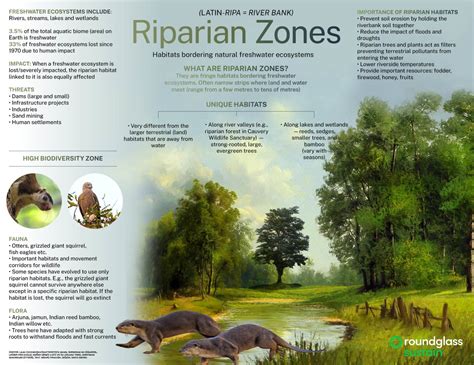 RIPARIAN ZONES - raincitystudios.com