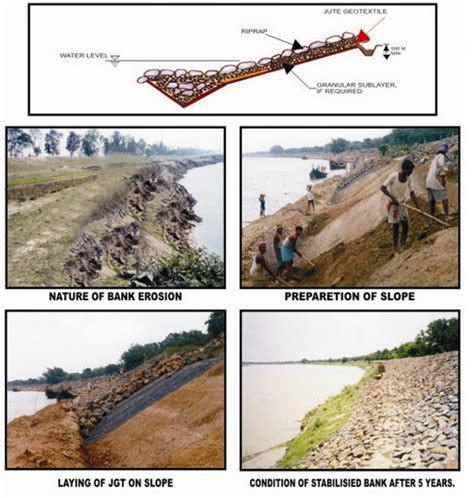 River Bank Protection Strategies - raincitystudios.com