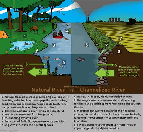 River Morphology, Channelization, and Habitat Restoration - wintechmobiles.com