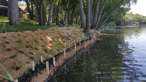 River restoration involves using riverside vegetation to enhance ... - raincitystudios.com