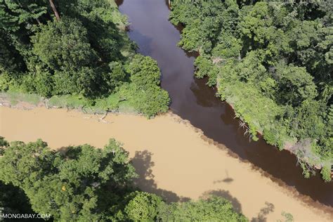 Rivers, lakes, streams, and swamps in the rainforest - wintechmobiles.com