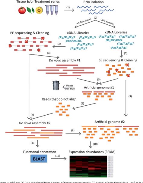 RNA-Seq Based De Novo Transcriptome Assembly and Gene …