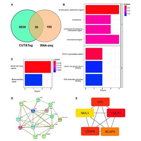 RNA-seq and CUT&RUN analyses indicate sim as a direct target of Ftz-f1 ...