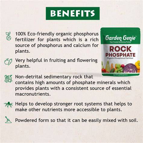 Rock Phosphate in Agriculture: Fertilizer Uses, Composition, and ... - raincitystudios.com
