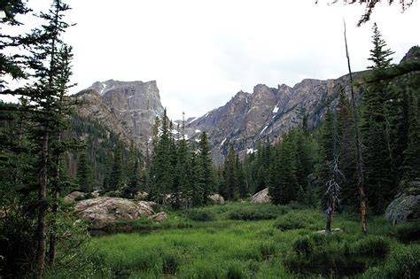 Rocky Mountain Subalpine-Upper Montane Forest & Woodland - raincitystudios.com