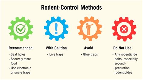 Rodent Control Methods - bloc.eco - muktibox.com
