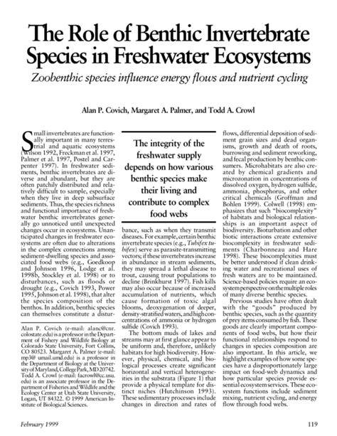 Role of Benthic Invertebrate Species in Freshwater Ecosystems ... - raincitystudios.com
