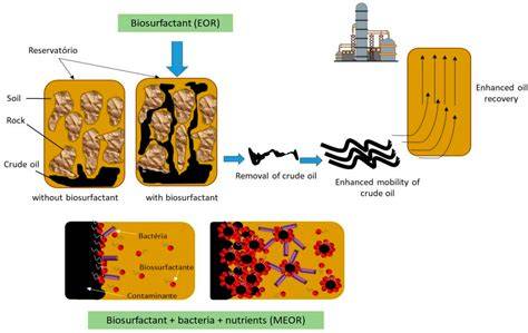 Role of Biosurfactants in Marine Sediment Remediation of Organic Pollutants - raincitystudios.com