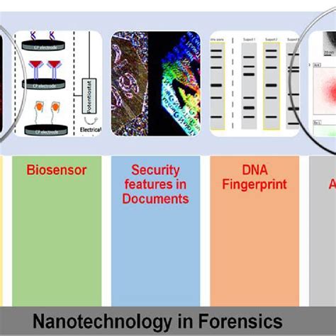 Role of Nanotechnology in Latent Fingerprint Development - wintechmobiles.com