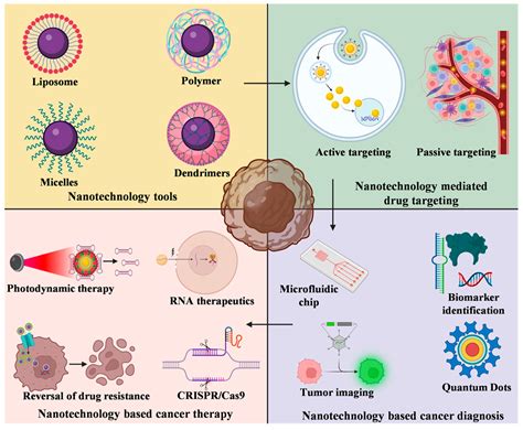 ROLE OF NANOTECHNOLOGY IN TARGETED DRUG DELIVERY - wintechmobiles.com