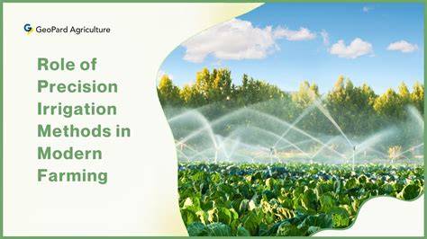 Role of Precision Irrigation Methods in Modern Farming - raincitystudios.com