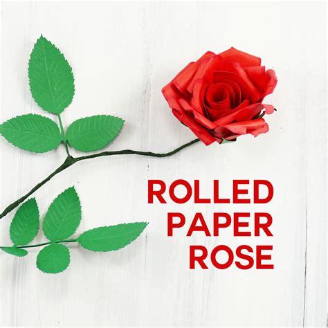 Rolled Paper Rose Tutorial – Fun & Realistic! - Jennifer … - raincitystudios.com