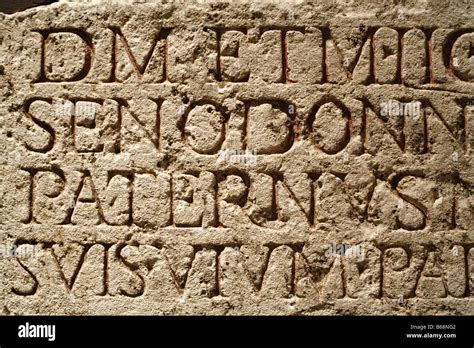 Roman Inscriptions - The Metropolitan Museum of Art - muktibox.com