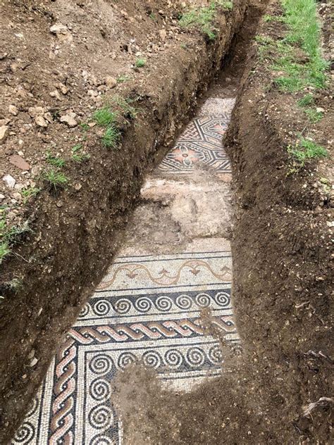 Roman Mosaics Hidden Under Vineyards for 2,000 Years - wintechmobiles.com