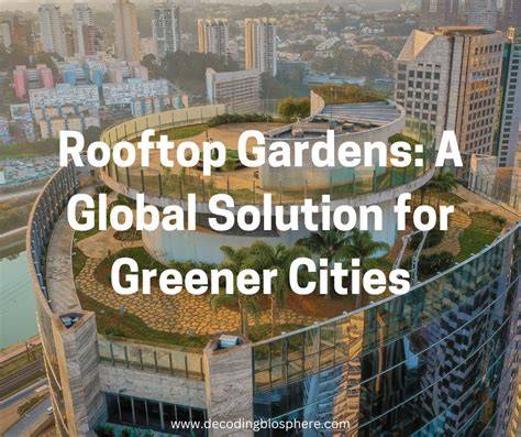 Rooftop Gardens: A Global Solution for Greener Cities - raincitystudios.com