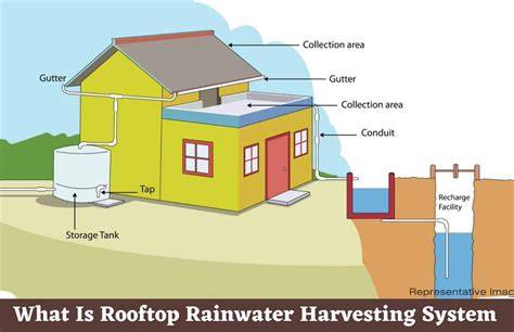 Rooftop rainwater harvesting by a shallow well - ScienceDirect - raincitystudios.com