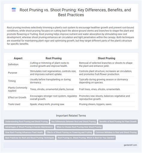 Root Pruning vs. Shoot Pruning: Key Differences, Benefits, and Best ... - raincitystudios.com