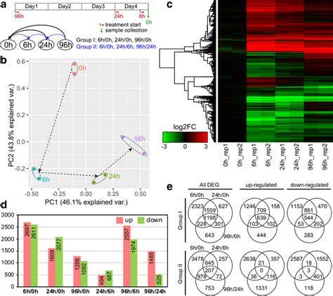 Root transcriptome sequencing and differentially expressed drought ... - raincitystudios.com