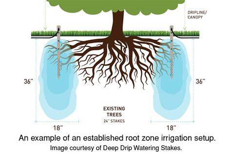 Root zone irrigation (or sub-irrigation) - Waterproductivity - raincitystudios.com