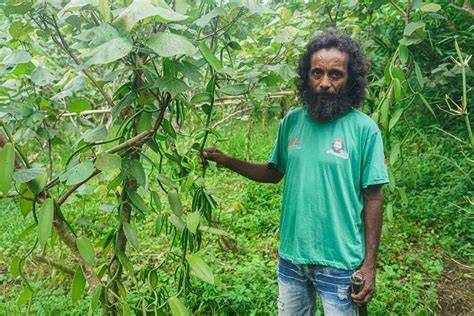 Rooted for Resilience: Community-Led Agroforestry Transforming Lives in ... - raincitystudios.com