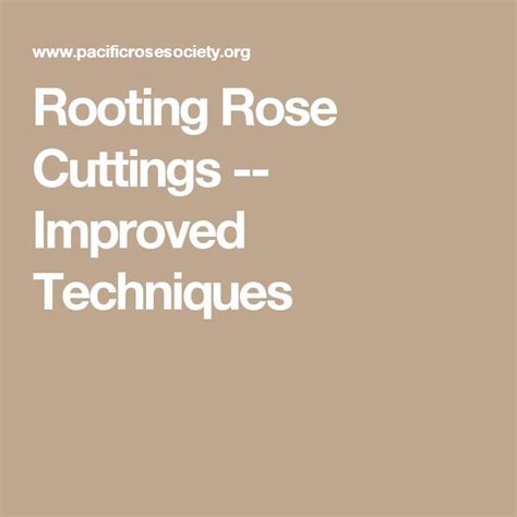 Rooting Rose Cuttings -- Improved Techniques - raincitystudios.com