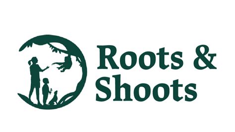 Roots and Shoots - Seed St. Louis - raincitystudios.com