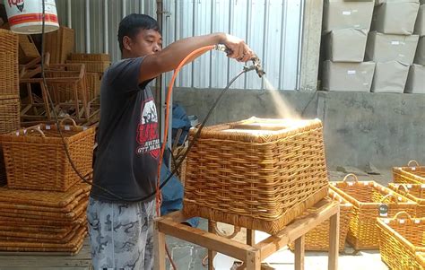 Rotan - Wikipedia bahasa Indonesia, ensiklopedia bebas - muktibox.com
