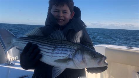 Rounding out the avant-garde | Hub - muktibox.com