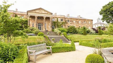 Royal Trees at Hillsborough Castle and Gardens - raincitystudios.com