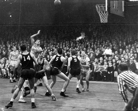 Royalsl - balustradellc