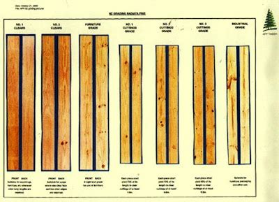 RPAA grading rules for radiata pine timber : conforming to …