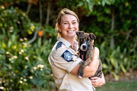 RSPCA NSW on Instagram: "Our inspectors have been travelling …