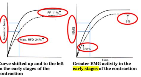 RT Essays Exam 1 Flashcards | Quizlet - balustradellc