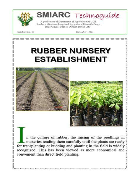 Rubber Nursery Establishment Guide - raincitystudios.com
