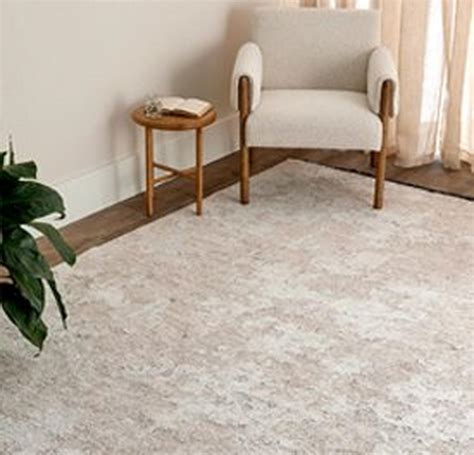 Rugs | Crate & Barrel - balustradellc