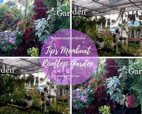 Rumah Bunga Neisha: RUMAH BUNGA NEISHA - balustradellc