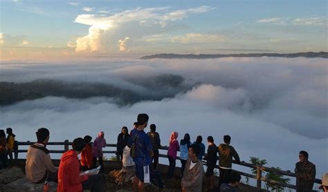 Rumah Di Atas Awan Alam Jogja Barat - Dikelilingi keindahan - balustradellc
