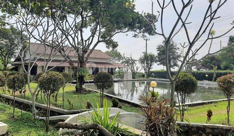 Rumah Dijual di Ciampea, Bogor | Harga 2026 - balustradellc
