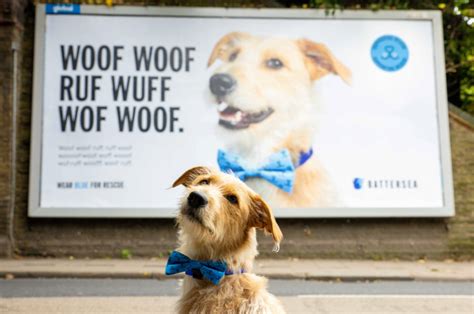 codini.rgarabwor.edu.pl. 