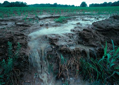 Runoff and Pollutants in Agriculture - Division of Agriculture and ... - raincitystudios.com