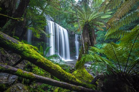 RUSSELL FALLS (Mount Field National Park)