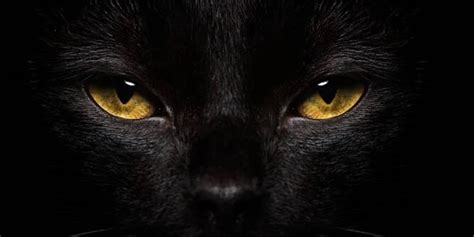 Ra ra onlyfans leaks