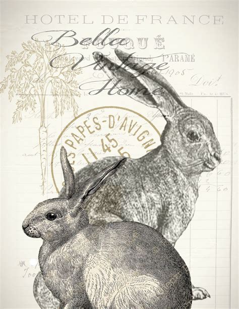 Rabbit Art, Bunny Rabbit, Vintage Prints, Vintage Art, French Vintage