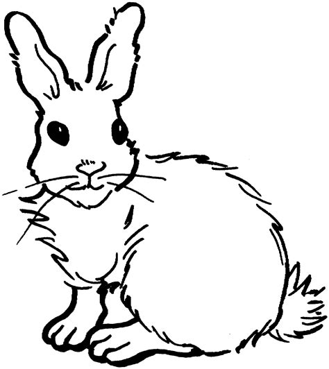 Rabbit Coloring Pages For Preschoolers