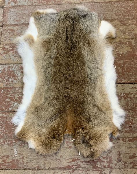Rabbit Fur Prices 2021